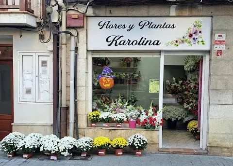 Flores Y Plantas Karolina en Ampuero