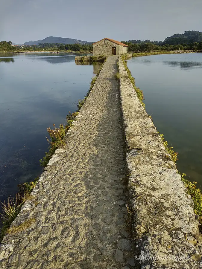 Molino de Santa Olaja, Arnuero