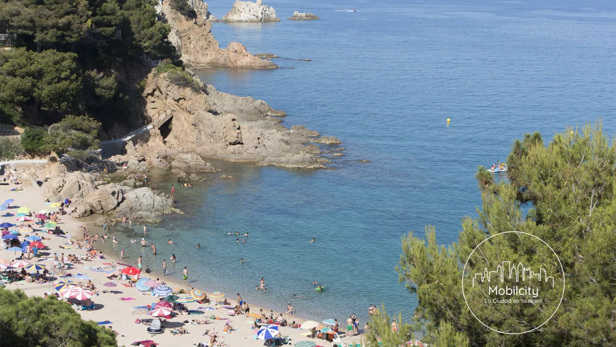 Cala Sant Francesc (Cala Bona), Blanes