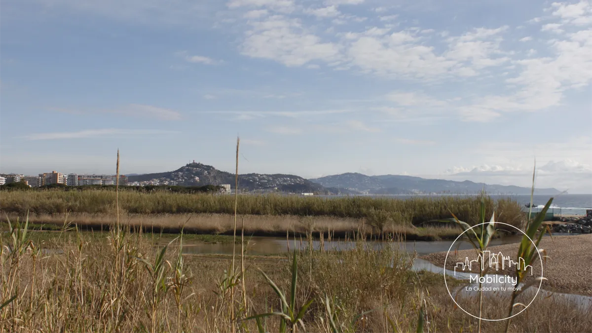 Delta del río Tordera, Blanes