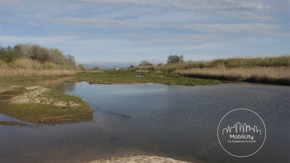 Delta del río Tordera, Blanes
