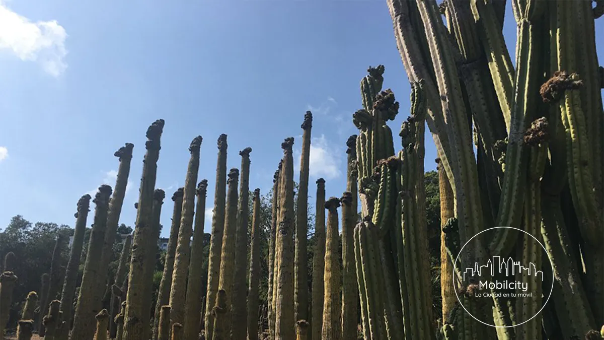 Jardín Botánico Pinya de Rosa, Blanes