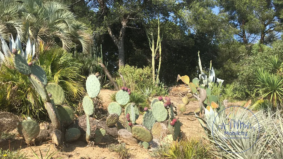 Jardín Botánico Pinya de Rosa, Blanes