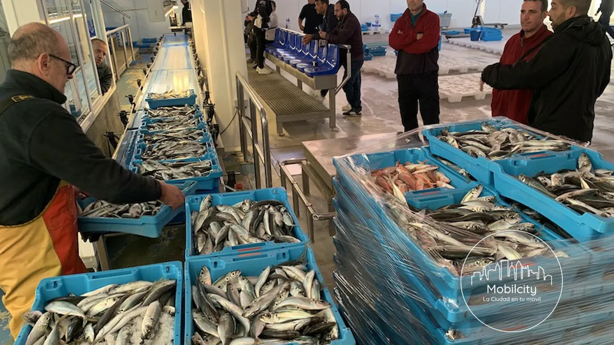 Lonja de Pescado de Blanes, Blanes