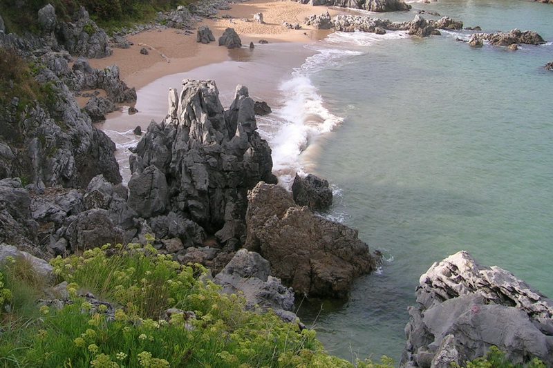 Playa del Arandal o Los Franceses, Isla