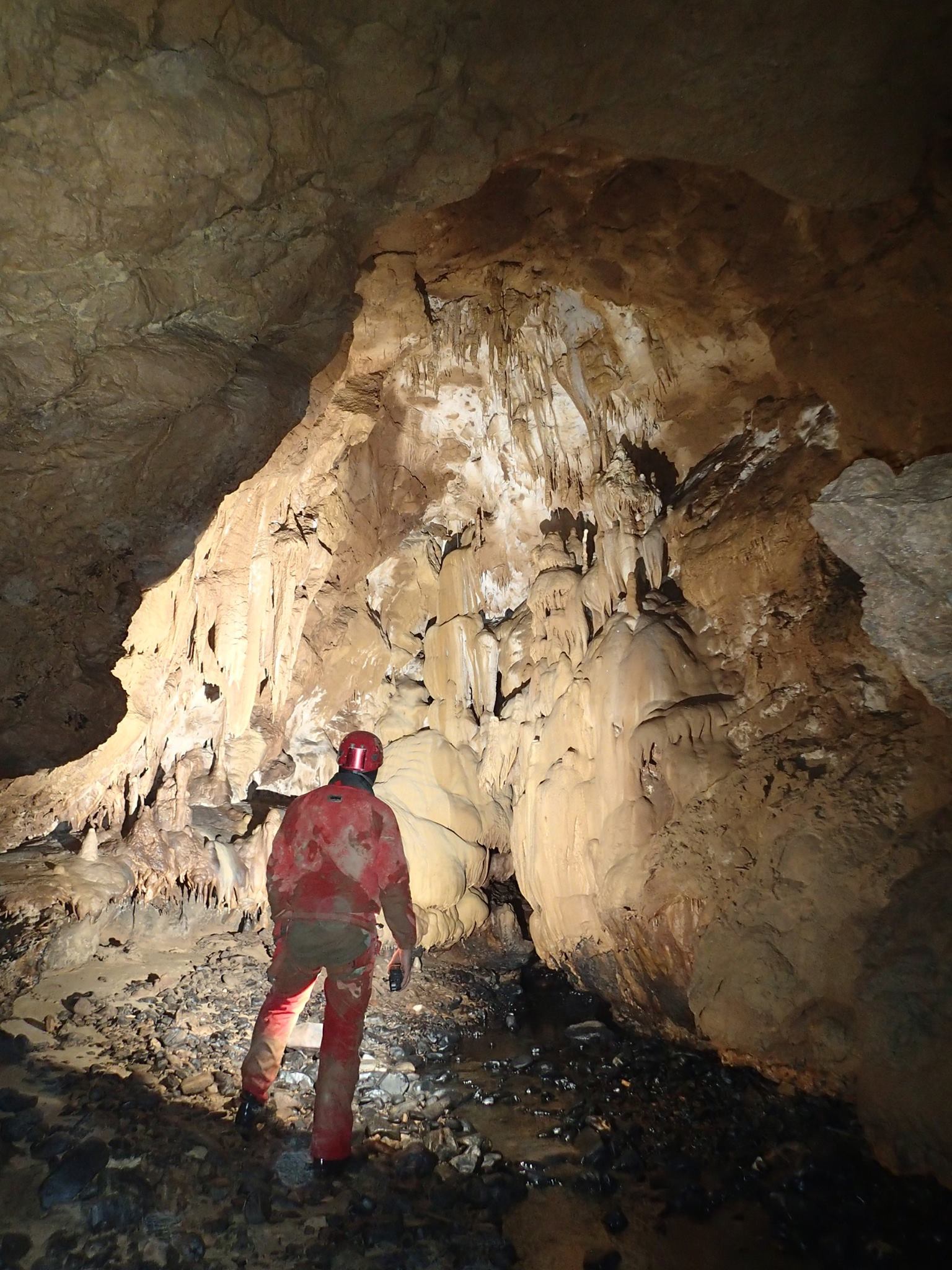 Cueva Hoyo Molino, Limpias