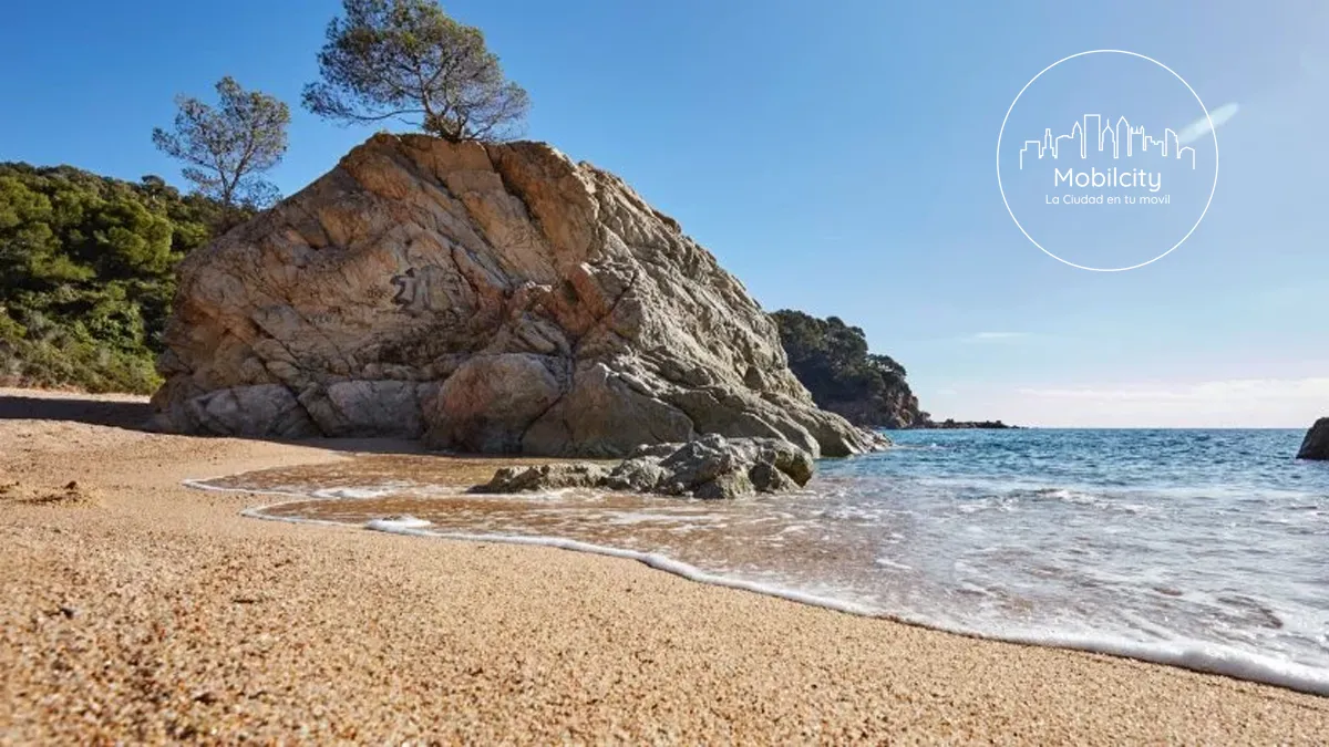 Playa de Canyelles, Lloret De Mar