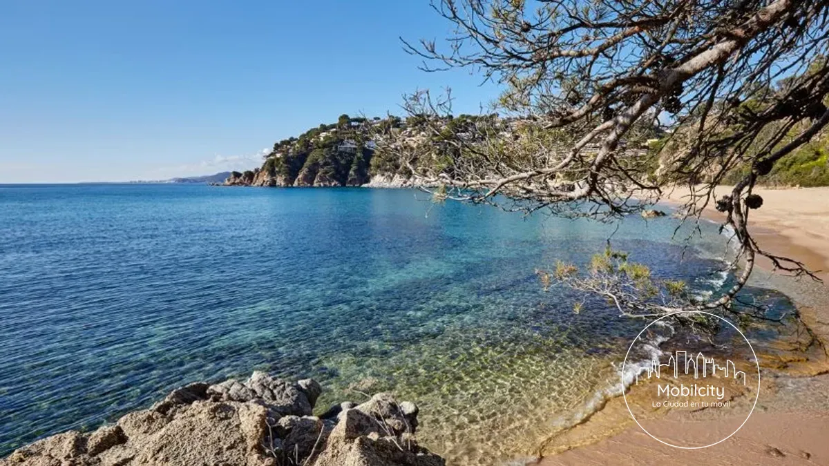 Playa de Canyelles, Lloret de Mar