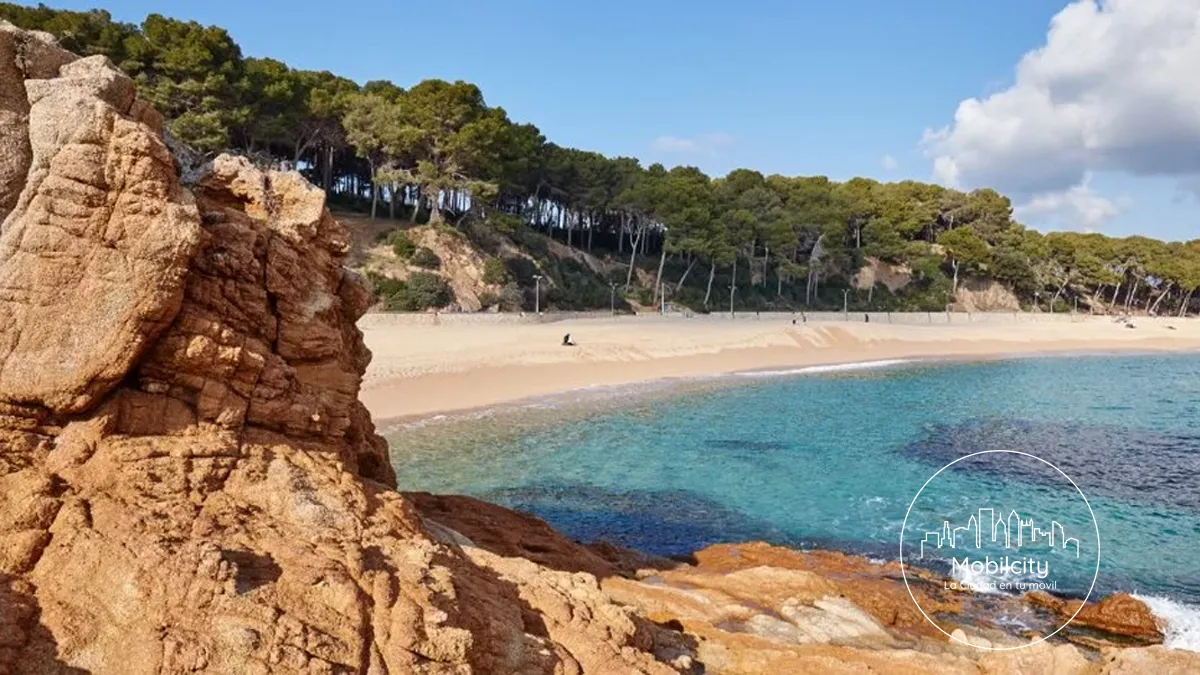 Playa de Fenals, Lloret de Mar