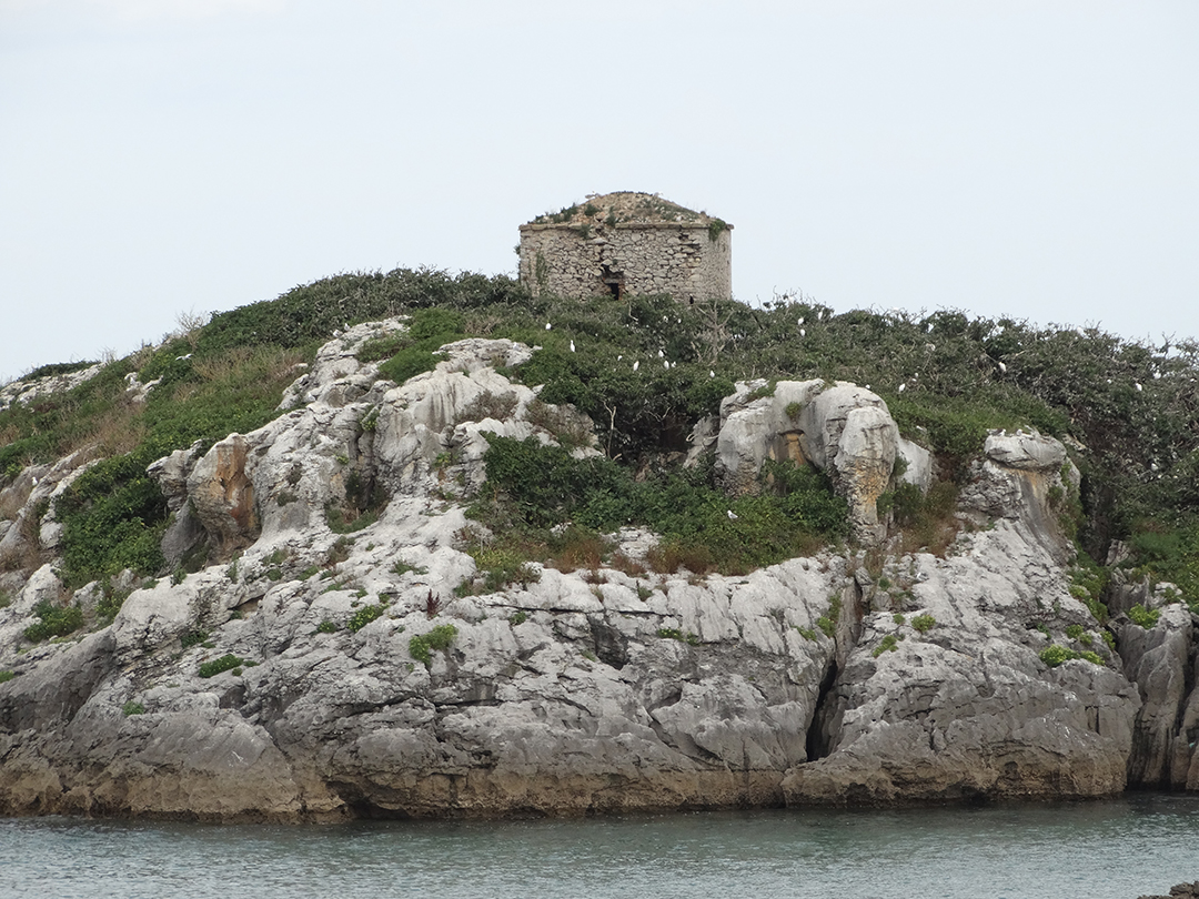Isla de San Pedruco, Noja