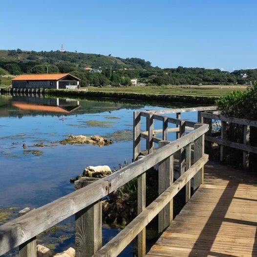 Marisma de Joyel, Noja