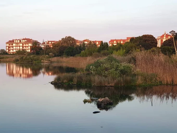 Marismas de Victoria y Joyel, Noja