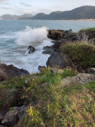 Marismas de Victoria y Joyel, Noja