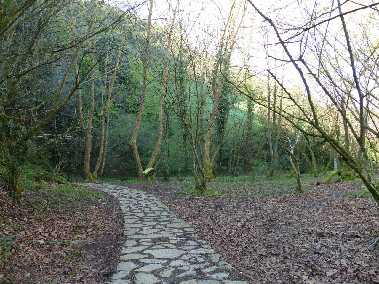 Parque Paleolítico de la Cueva del Valle, Rasines