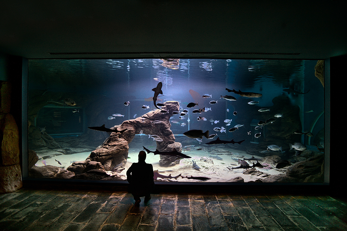 Museo Marítimo del Cantábrico, Santander