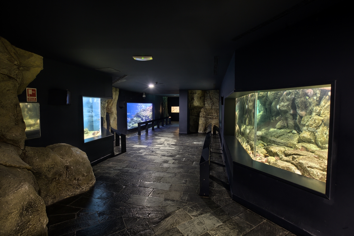 Museo Marítimo del Cantábrico, Santander
