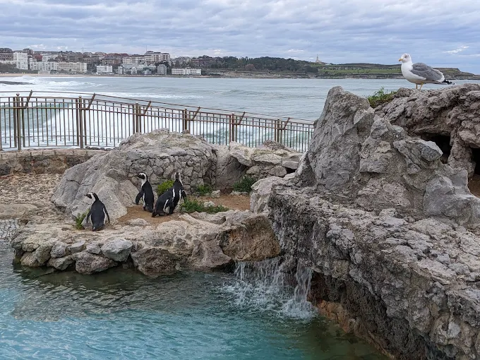 Parque de la Magdalena, Santander