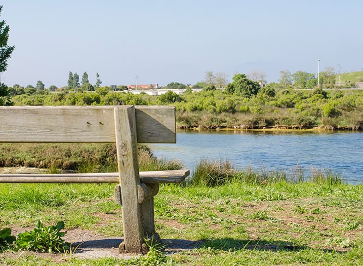 Parque Natural de las Marismas de Santoña, Victoria y Joyel, Santona